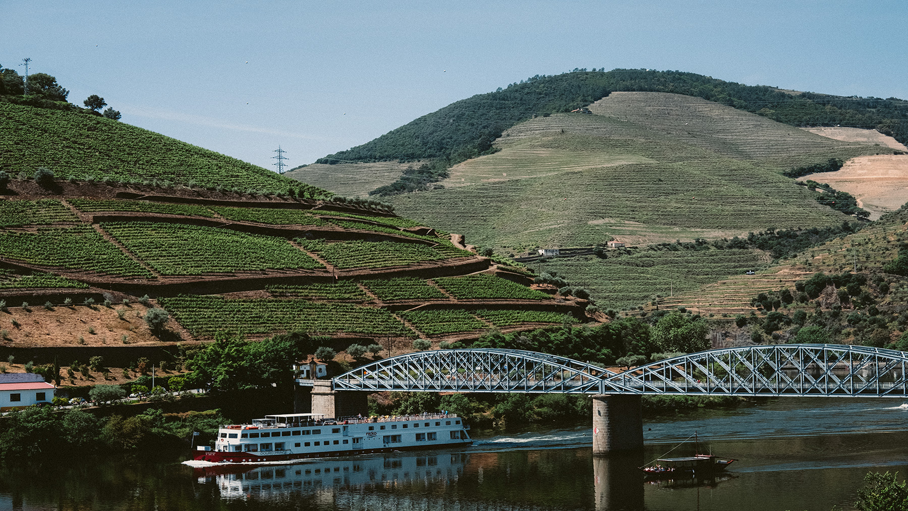 Ladscape in Douro Valley